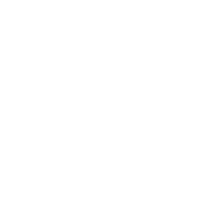 bing bing - bile